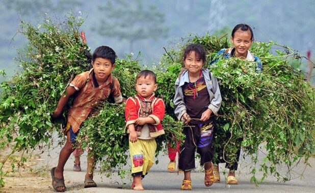 Misamom Việt Nam đem yêu thương đến trẻ em vùng cao